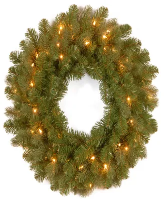 National Tree Company 24" Downswept Douglas Wreath with Warm Led Lights
