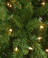 National Tree Company 7.5' Peyton Spruce Tree with Clear Lights