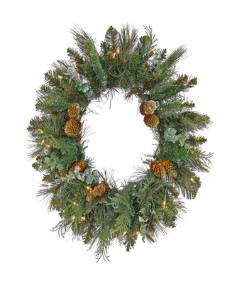 National Tree Company First Traditions Collection, 24" Pre-Lit Artificial North Conway Wreath with Glittery Cones and Eucalyptus, 50 Clear Lights