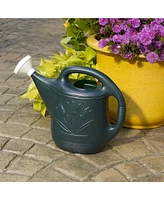 Novelty Classic Plastic Watering Can, Green, 2 Gallon Capacity