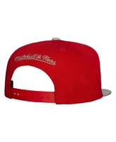 Men's Mitchell & Ness Scarlet, Gray Ohio State Buckeyes 2-Tone 2.0 Snapback Hat