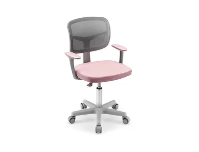 Adjustable Desk Chair with Auto Brake Casters for Kids