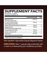 Havasu Nutrition NeuroIgnite Capsules + St. John's Wort, Brain Support & Memory Supplement, Havasu Nutrition, 30ct