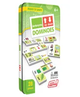 Junior Learning Antonyms Dominoes Langauge Arts