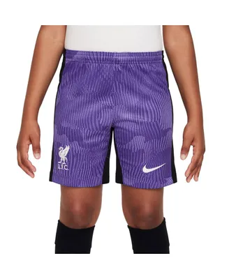 Big Boys Nike Purple Liverpool 2023/24 Third Stadium Performance Shorts