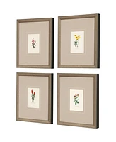 Western Wildflower Framed Art, Set of 4