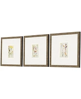 Antique-Like Botanical Ii Framed Art, Set of 3