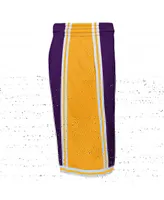 Big Boys Mitchell & Ness Purple Los Angeles Lakers Hardwood Classics Swingman Shorts