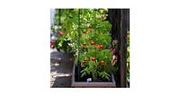 4 Pack Garden Trellis for Climbing Plants for Flower Vegetable