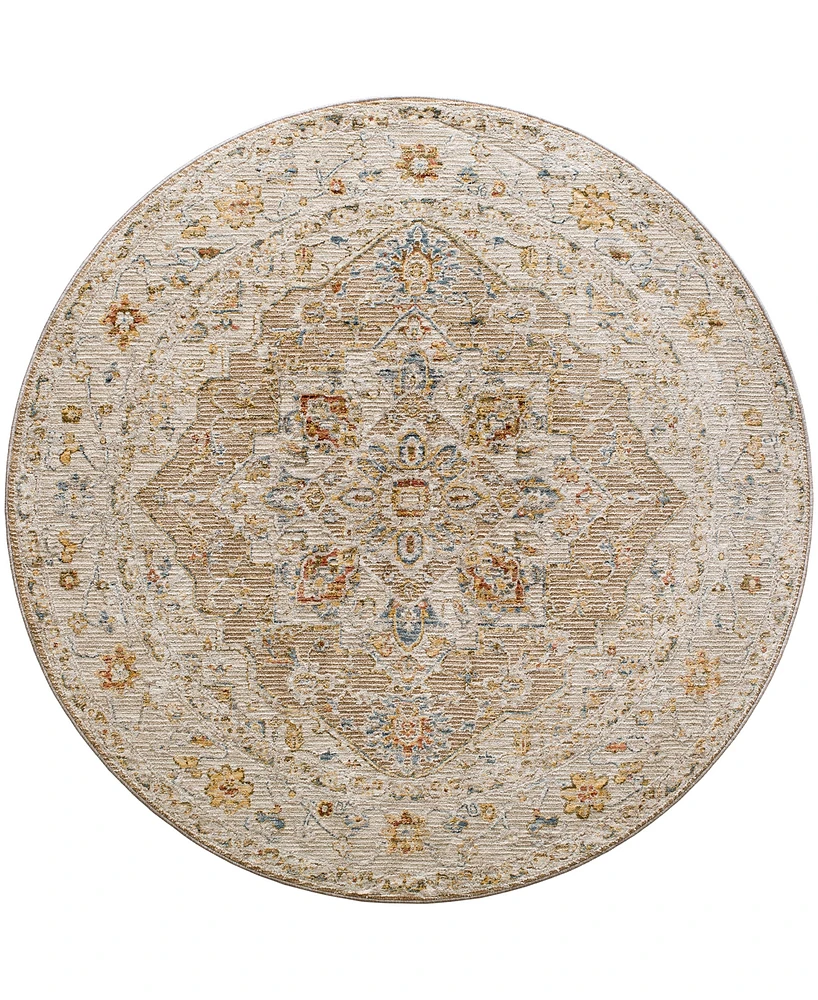 Surya Reina Ren-2305 7'10" x 7'10" Round Area Rug