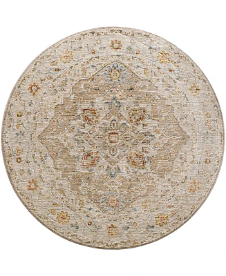 Surya Reina Ren-2305 7'10" x 7'10" Round Area Rug