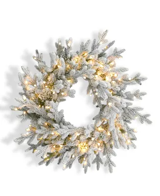 Seasonal Dandan Flocked Pine 24" Pre-Lit Pe Mixed Pvc Wreath with 375 Tips, 150 Warm Led Lights