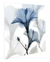 Empire Art Direct "Blue X-Ray Floral" Frameless Free Floating Tempered Glass Panel Graphic Wall Art, 24" x 24" x 0.2"