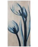 Empire Art Direct Tulips Fine Radiographic Photography Hi Definition Giclee Printed Directly on Hand Finished Ash Wood Wall Art, 24" x 48" x 1.5"