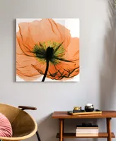 Empire Art Direct "Poppy Orange" Frameless Free Floating Tempered Glass Panel Graphic Wall Art, 24" x 24" x 0.2"