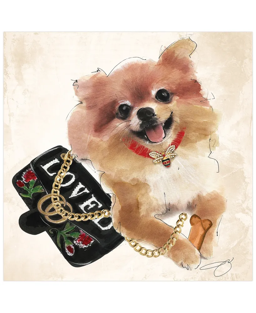 Empire Art Direct "Pomeranian" Unrameled Free Floating Tempered Glass Panel Graphic Dog Wall Art Print 20" x 20", 20" x 20" x 0.2" - Multi