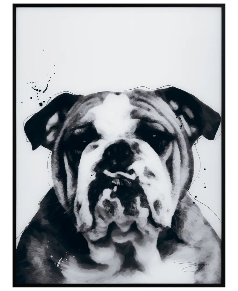 Empire Art Direct "Bulldog" Pet Paintings on Printed Glass Encased with A Black Anodized Frame, 24" x 18" x 1"