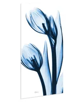 Empire Art Direct "Two Blue TuLIps" Frameless Free Floating Tempered Glass Panel Graphic Wall Art, 48" x 24" x 0.2"