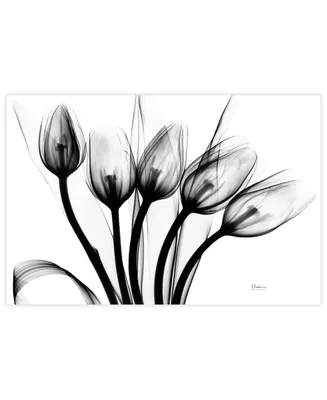 Empire Art Direct "Marching Tulips" Frameless Free Floating Tempered Glass Panel Graphic Wall Art, 32" x 48" x 0.2"