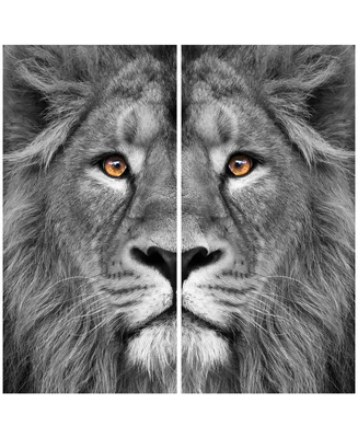 Empire Art Direct King Of The Jungle Ab Frameless Free Floating Tempered Glass Panel Graphic Wall Art, 72" x 36" x 0.2" Each