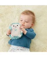 Fisher Price Calming Vibes Hedgehog Soother, Portable Infant Plush Pal - Multi