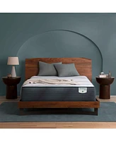 Closeout! Beautyrest Harmony Lux Hybrid Ocean View Island 13" Firm Mattress