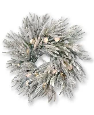 Seasonal Frosted Acadia 24" Flocked Polyethylene Polyvinyl Chloride Wreath 50 Bo Lights 400 Tips, Color Changing Bo Led