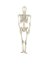 Life Size Skeleton Halloween Decoration, 5'