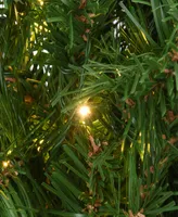 National Tree Company 24" Kingswood Fir Wreath with 250 Battery Operated Infinity Lights
