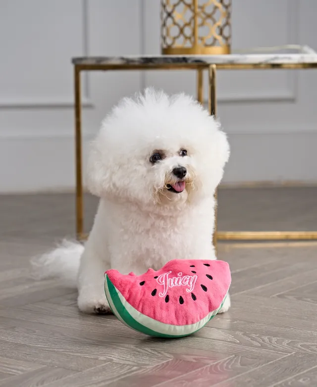 Watermelon Nose Work Dog Toy – Come Here Buddy