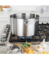 Viking Pro 5-Ply 8 Qt Stock Pot
