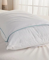 IsoCool Polyester 2-Pack Pillows