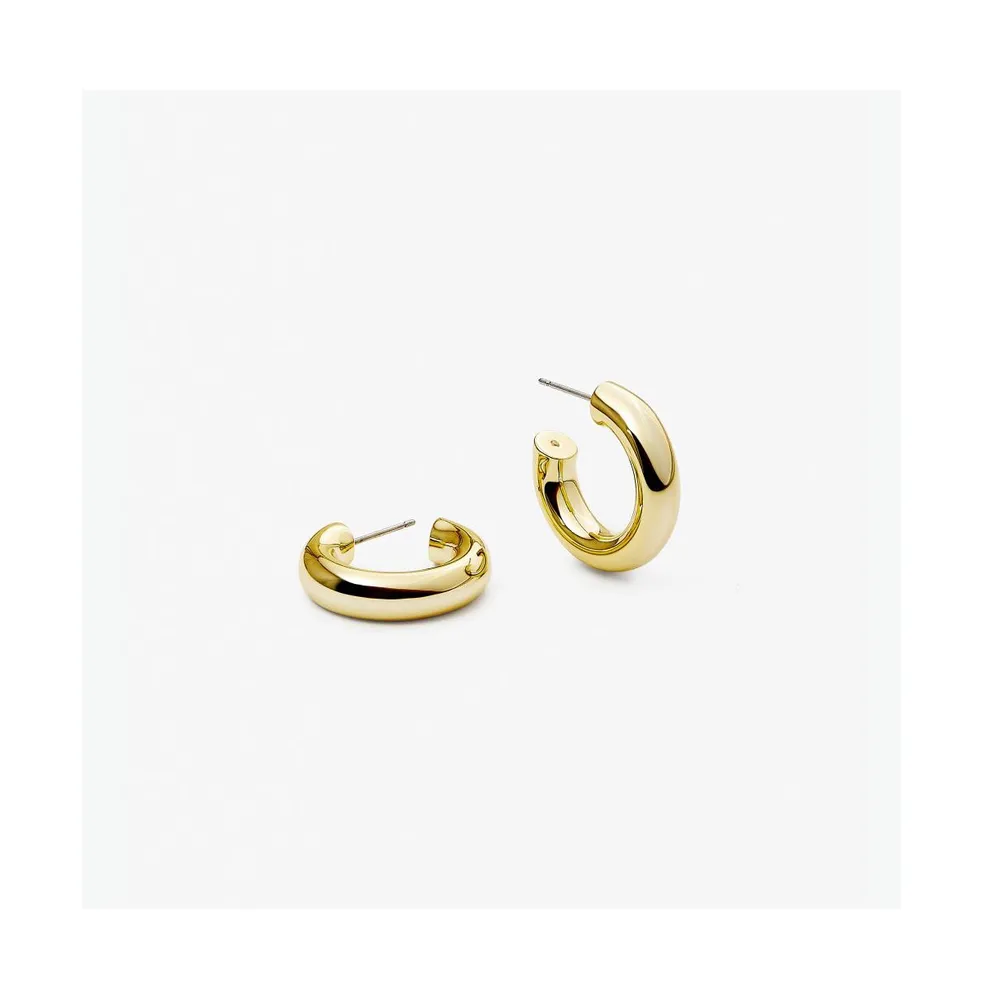 Ana Luisa Small Gold Hoop Earrings