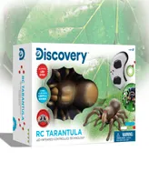 Discovery Kids Remote Control Moving Tarantula Spider Toy