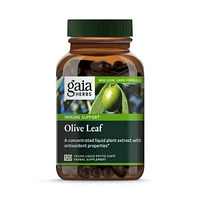 Gaia Herbs Olive Leaf - Traditional Immune Health Support - Immune System Supplement with Olive Leaf Extract and Oleuropein - 120 Liquid Phyto