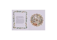 The Wheel of the Year- An Illustrated Guide to Nature's Rhythms by Fiona Cook