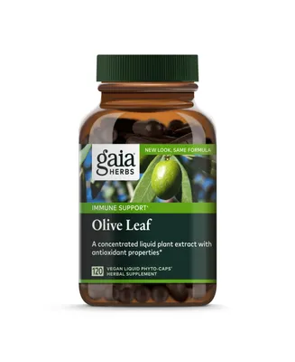 Gaia Herbs Olive Leaf - Traditional Immune Health Support - Immune System Supplement with Olive Leaf Extract and Oleuropein - 120 Liquid Phyto