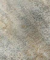Dalyn Odyssey OY5 3' x 5' Area Rug