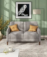Peter 51.5" Velvet Loveseat