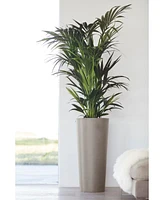 Ecopots Amsterdam Durable Modern Mid High Planter