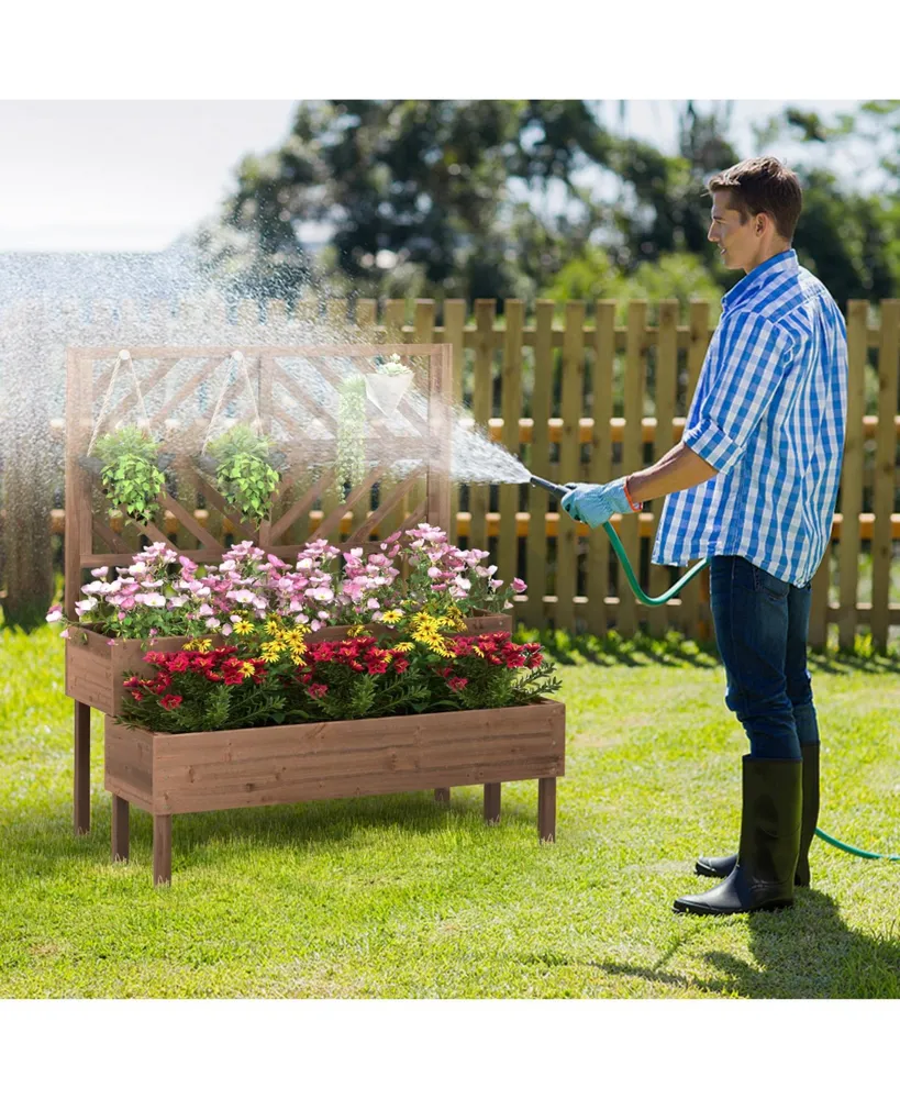 2-Tier Raised Garden Bed with Trellis