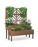 2-Tier Raised Garden Bed with Trellis