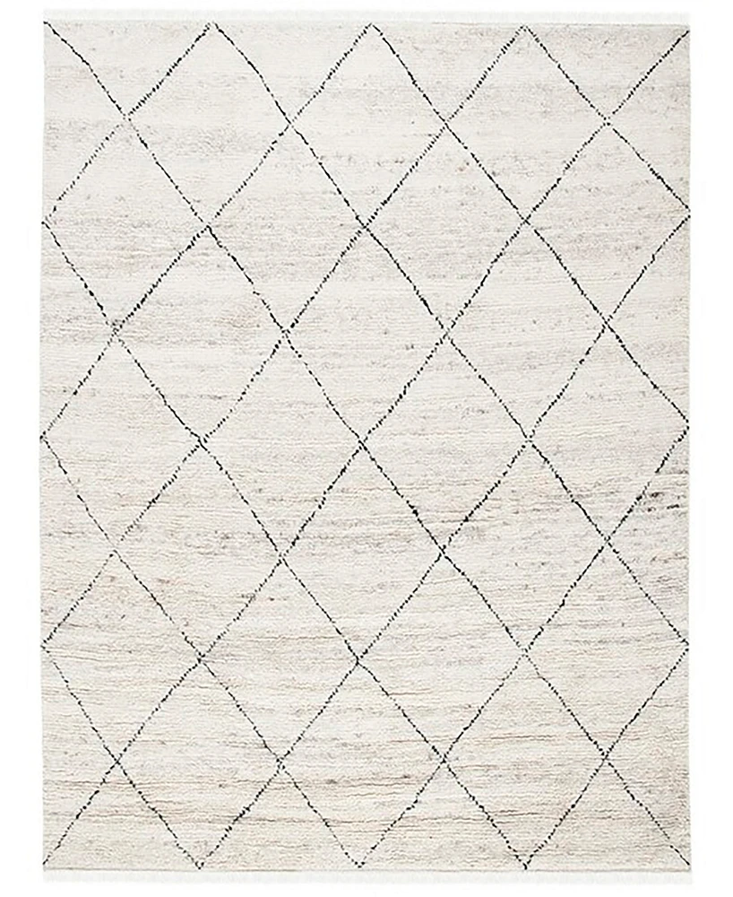 Safavieh Casablanca 543 CSB543 8' x 10' Area Rug