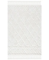 Safavieh Casablanca 651 CSB651 3' x 5' Area Rug