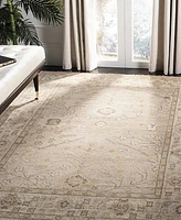 Safavieh Izmir IZM134 6' x 9' Area Rug