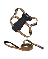 Coastal Pet K9 Explorer by Dog Leash Set - Reflective Adjustable Dog Harness (1" x 26"–38") & Reflective Dog Leash with Scissor Snap 1" x 6')