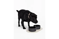 Fable Pets Signature Bowl