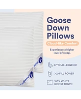 Continental Bedding Firm Comfort with 700 Fill Power - King Size Pack of 1