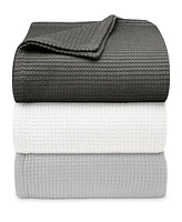 Vera Wang Waffleweave Cotton Reversible Blanket