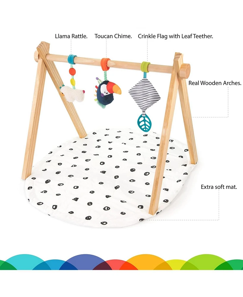 Sassy Sproutin' Safari Eco Playmat - 0+ months - Assorted Pre